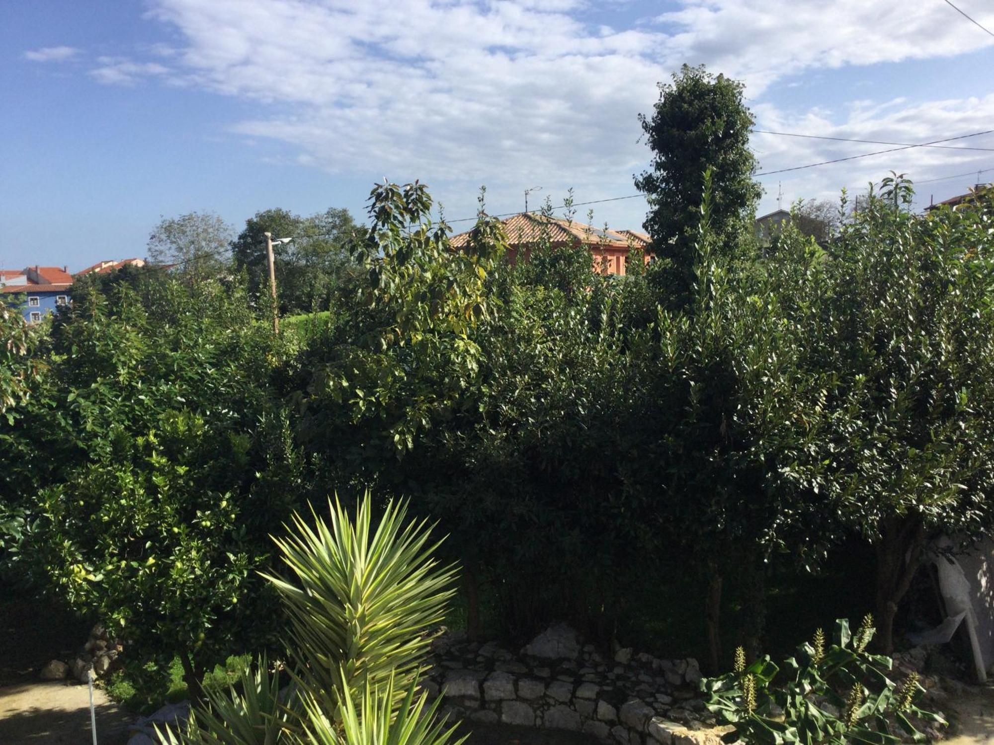 셀로리오 Casa Jardin Rocablanca Llanes 빌라 외부 사진