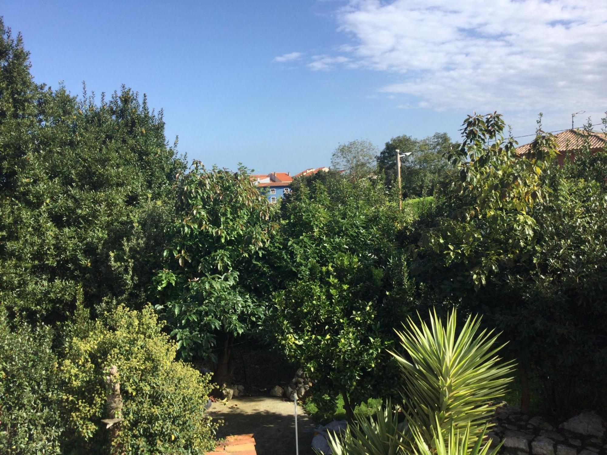 셀로리오 Casa Jardin Rocablanca Llanes 빌라 외부 사진